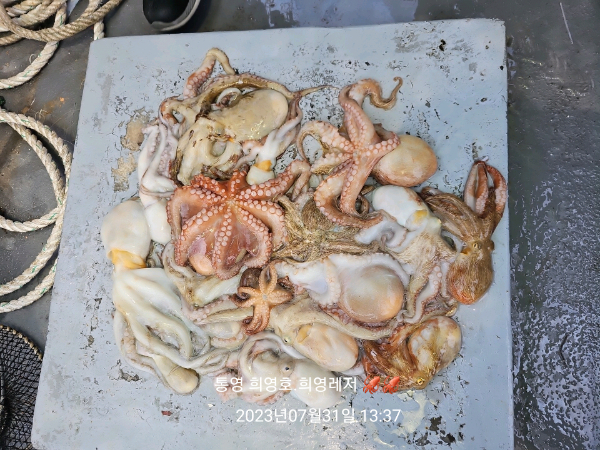 DateCamera0731133703.jpg