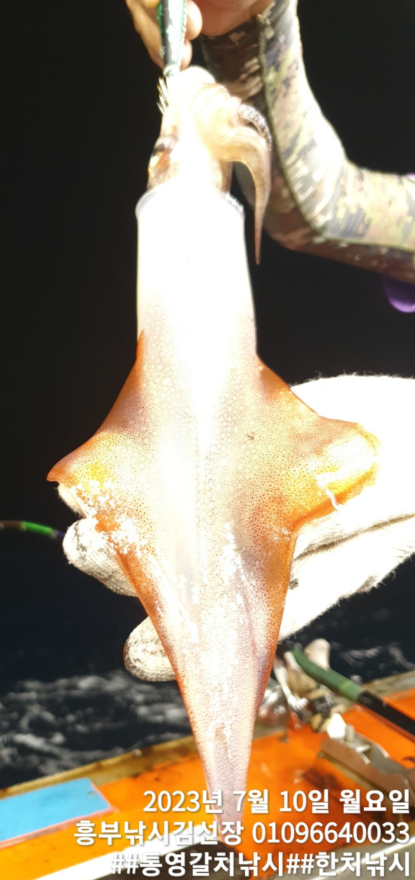1689020071067.jpg