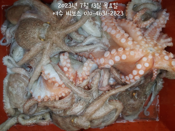 AF79936B-478B-4179-B7A1-291F8142ED71.jpeg