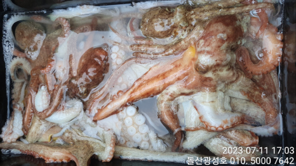 KakaoTalk_20230711_183312100_23.jpg