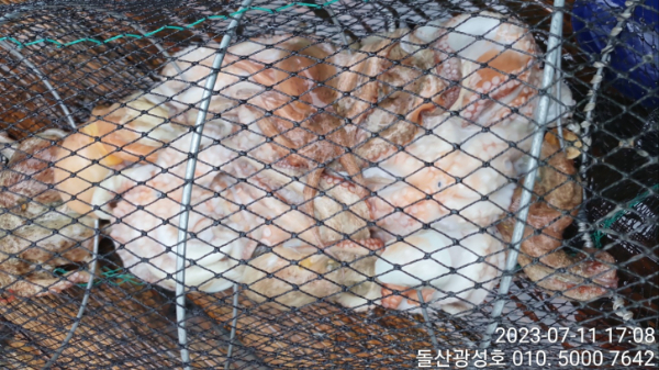 KakaoTalk_20230711_183312100_29.jpg