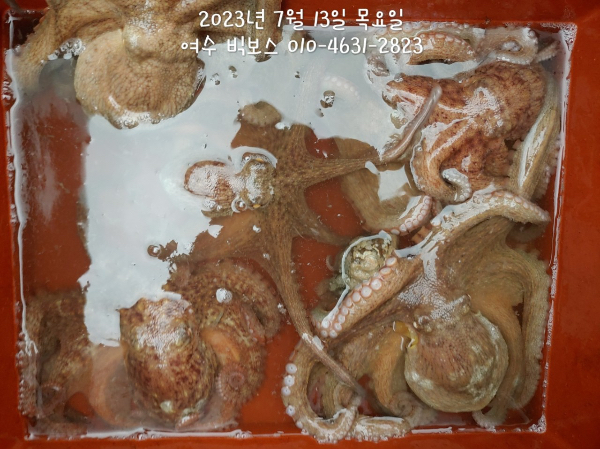 C2991A6C-7163-4392-8DE9-ABD5BFD98A2F.jpeg