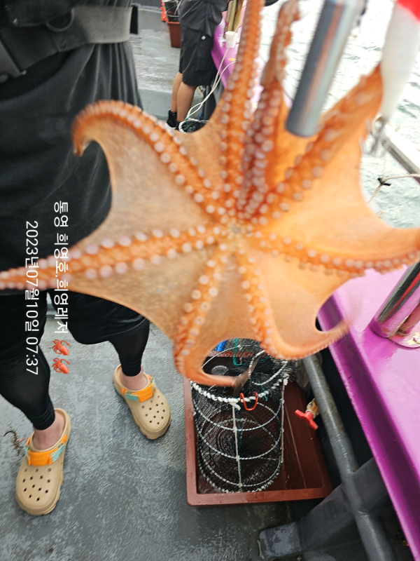 85f2107ed721ea01d553167843d98fcd.jpg