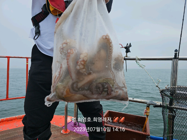 86cb99e45a87b551f29bee225d01c154.jpg