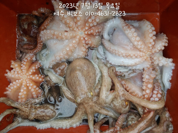 31C1A249-46A8-472F-825A-59AB17E6016A.jpeg