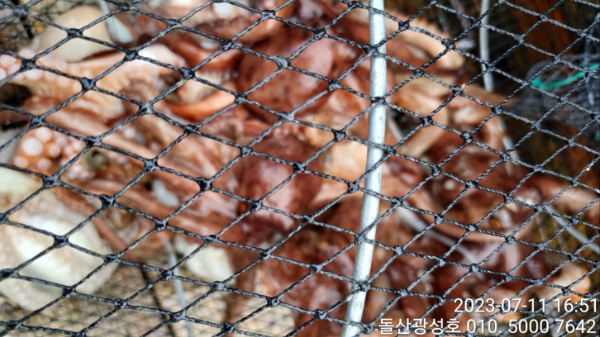 KakaoTalk_20230711_183312100_10.jpg