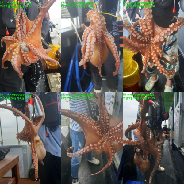 KakaoTalk_20230721_134657914.jpg