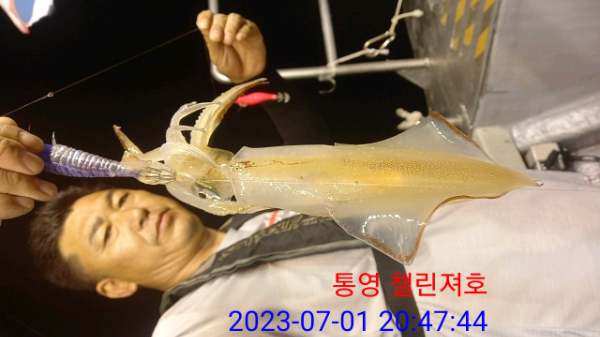 a31588acf9afd502ff0333068abee9d7.jpg