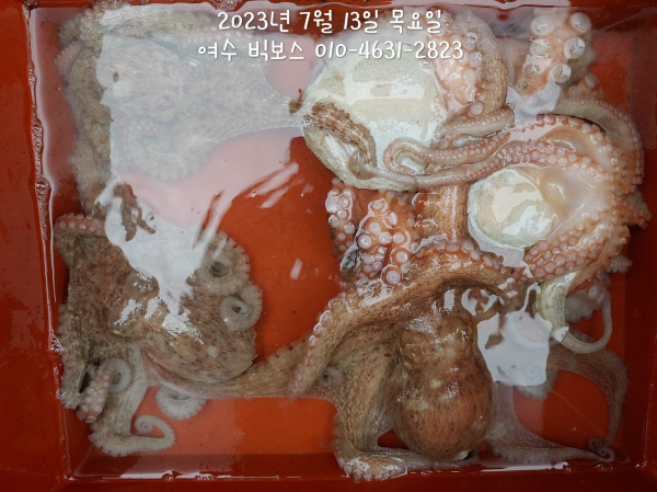 1970C352-8596-4B33-804A-020FEF965994.jpeg