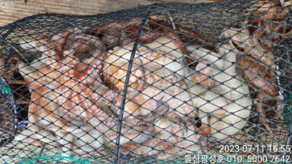 KakaoTalk_20230711_183312100_28.jpg