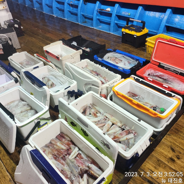 b3b984089e5389ed8d515f5290240157.jpg