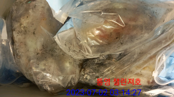 b940dfafe6f1f3f8287f9f10e878a360.jpg