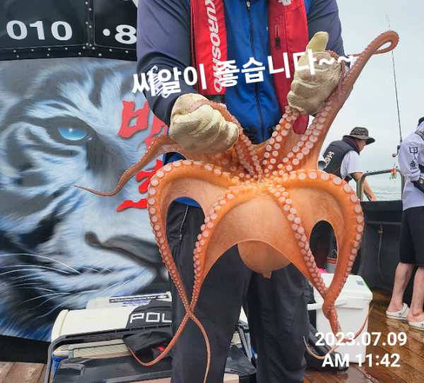 bf04d561defcbf5326cbf3faebb95bfa.jpg
