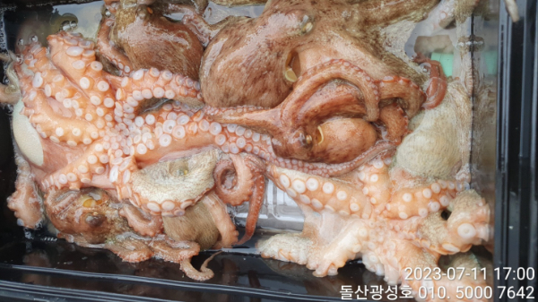 KakaoTalk_20230711_183312100_26.jpg
