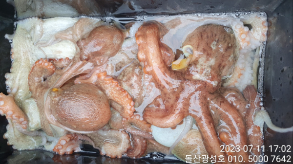 KakaoTalk_20230711_183312100_24.jpg