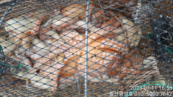 KakaoTalk_20230711_183312100_17.jpg
