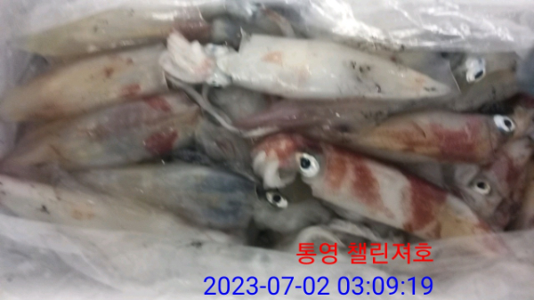 e6c2f28962aca37003be0639926bd6ef.jpg