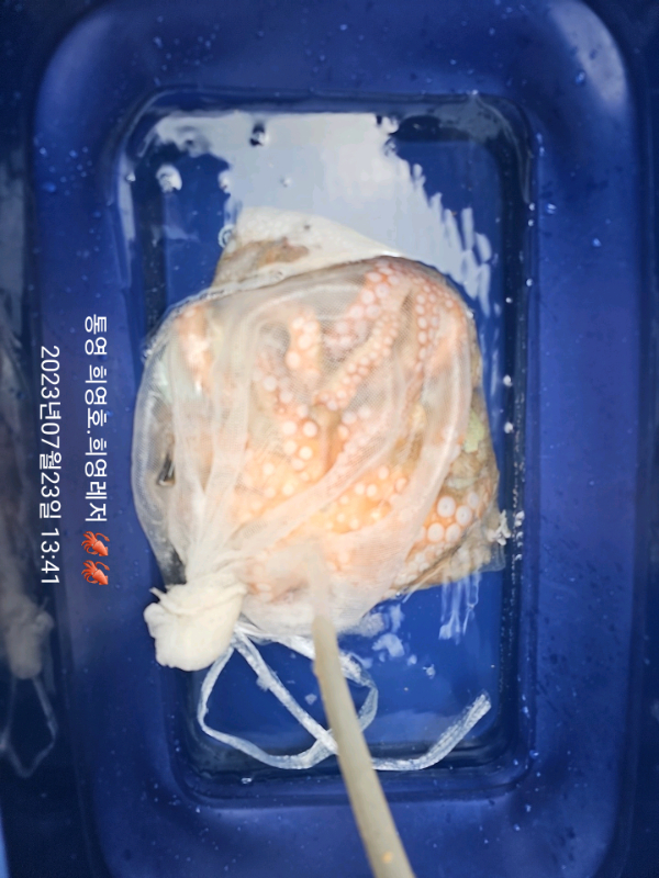 e819dabf68fc9843ab0aa04159c7efec.jpg