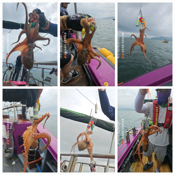 ec5461d6917d088be678dc18a9a708e0.jpg