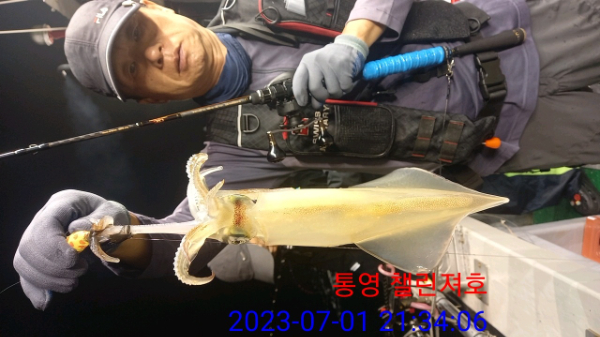 fcff573ea1e249a691ee50c88f8eb721.jpg