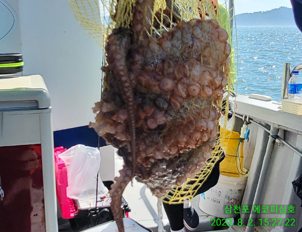 IMG_20230802_152722.jpg