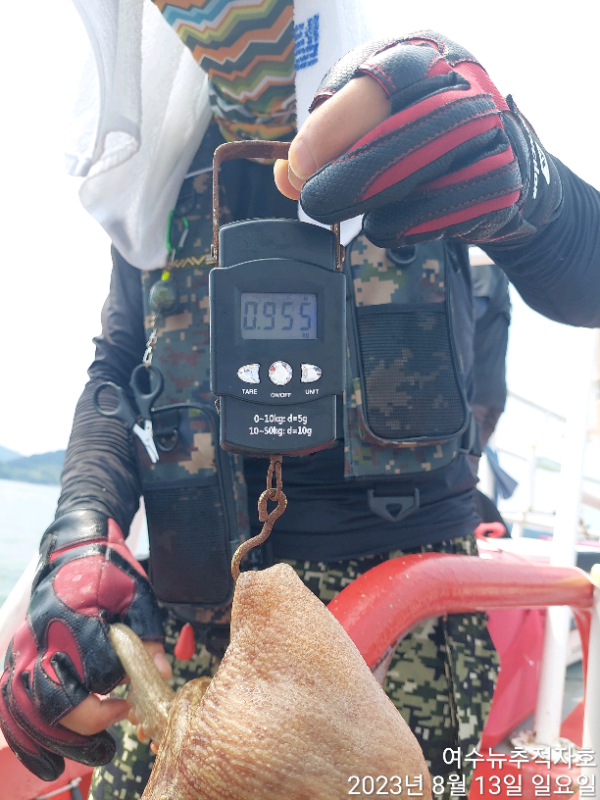 ㄷㅈ  TimePhoto_20230813_121247.jpg