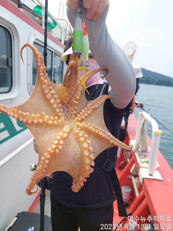 ㄷㅈ  TimePhoto_20230813_122659.jpg