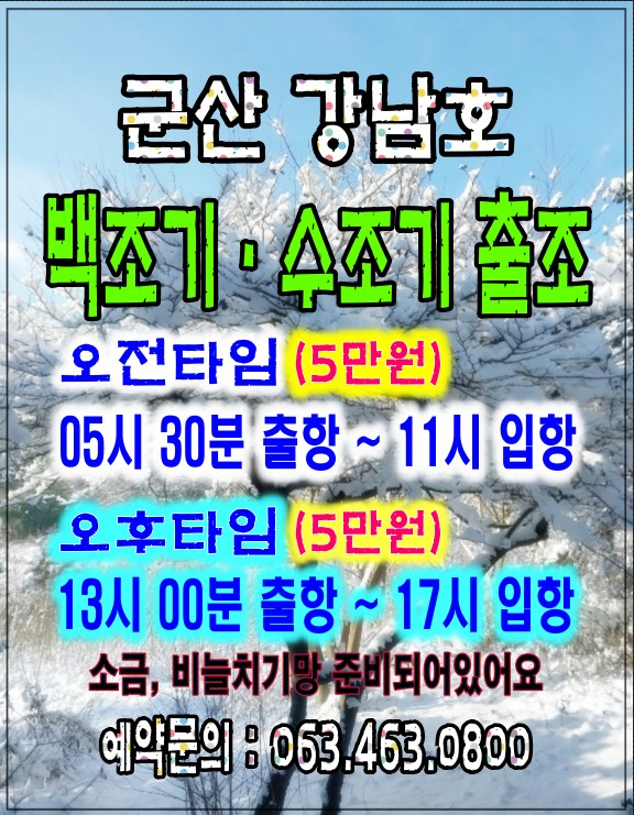 0802 강남 백조기.jpg