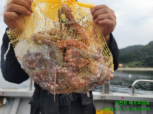 IMG_20231013_162235.jpg