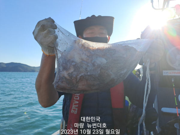 d4611a2b1dbfead5c56645cf89f63dd3.jpg