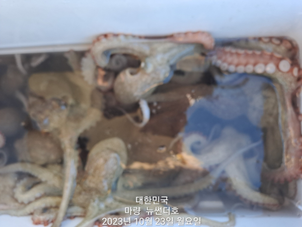 e2a4463601ac89ded3e0a6809c6ab110.jpg