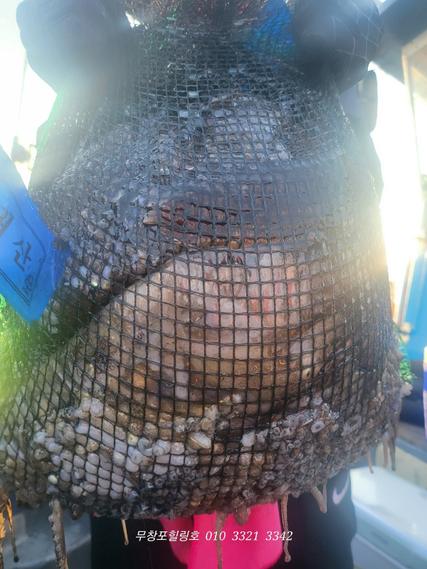 1698065873603.jpg