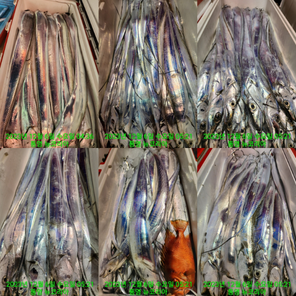 카카오스토리_2023_12_06 08_36_32 (3).jpg