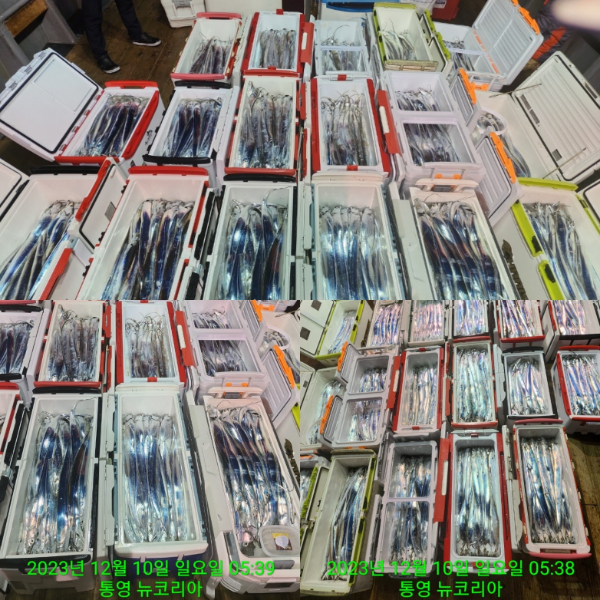 카카오스토리_2023_12_12 10_14_34.jpg