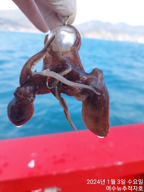 ㄷㅈ TimePhoto_20240103_130050.jpg