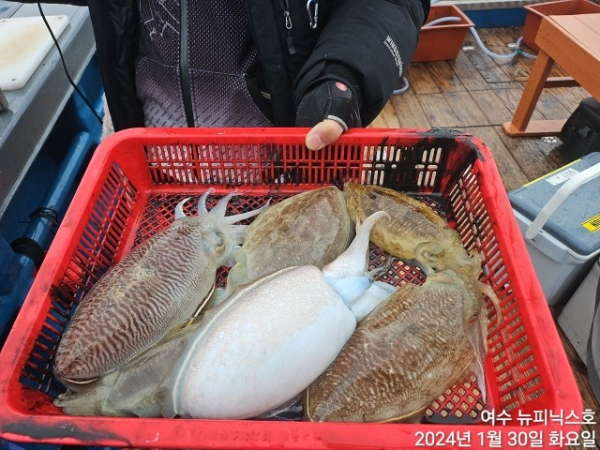 1월30일심갑 (40).jpg