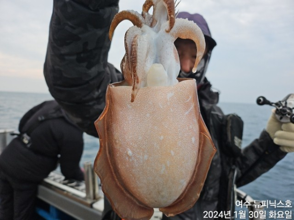 1월30일심갑 (31).jpg