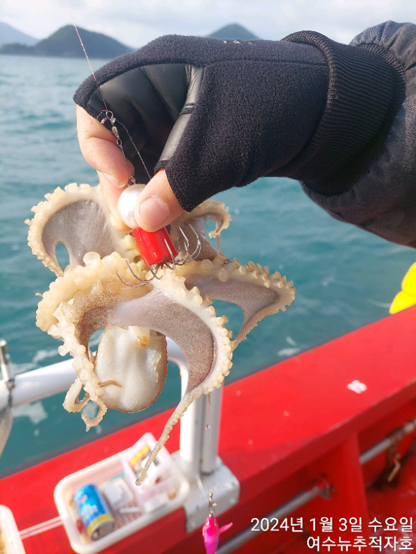 ㄷㅈ TimePhoto_20240103_102655.jpg