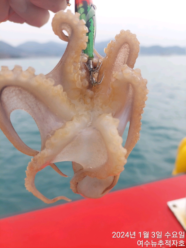 ㄷㅈ TimePhoto_20240103_091701.jpg