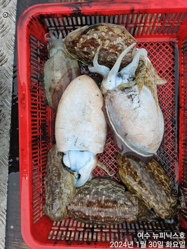 왕1월30일심갑 (4).jpg