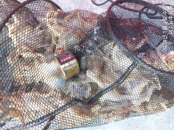 ㄷㅈ TimePhoto_20240103_153720.jpg