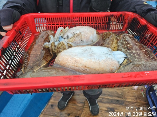 1월30일심갑 (2).jpg