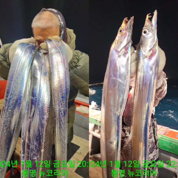 카카오스토리_2024_01_13 09_34_29 (1).jpg