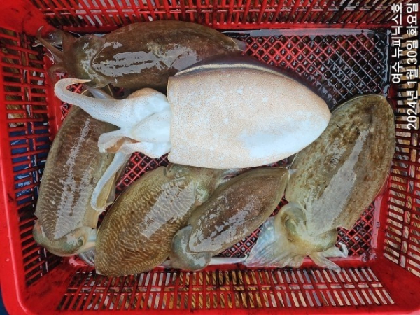 1월30일심갑 (6)-tile.jpg