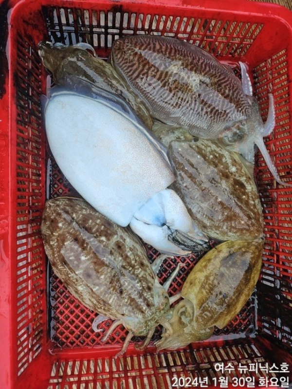 왕1월30일심갑 (42).jpg