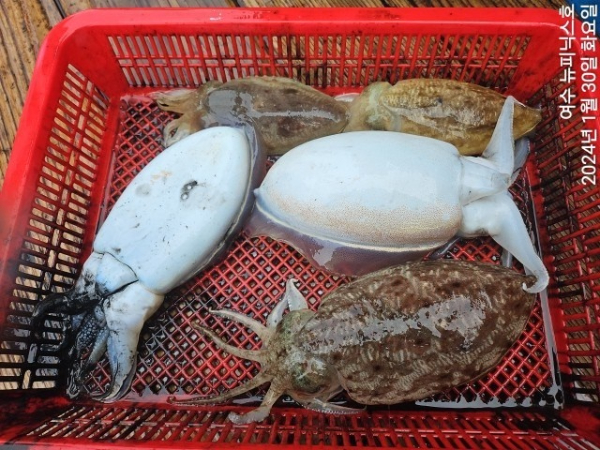 1월30일심갑 (9)-tile.jpg