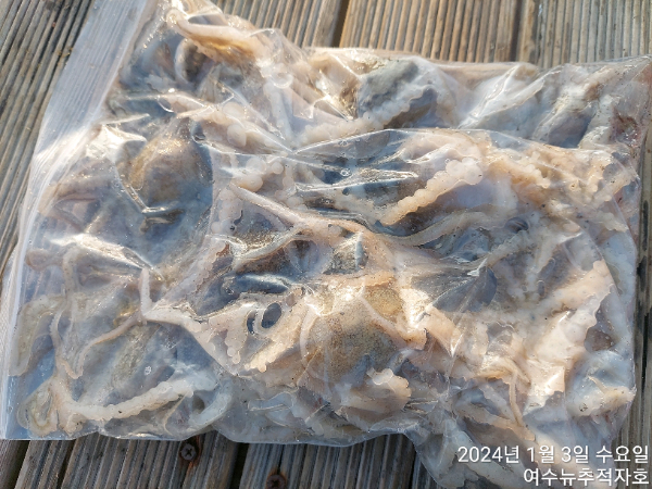 ㄷㅈ TimePhoto_20240103_161818.jpg