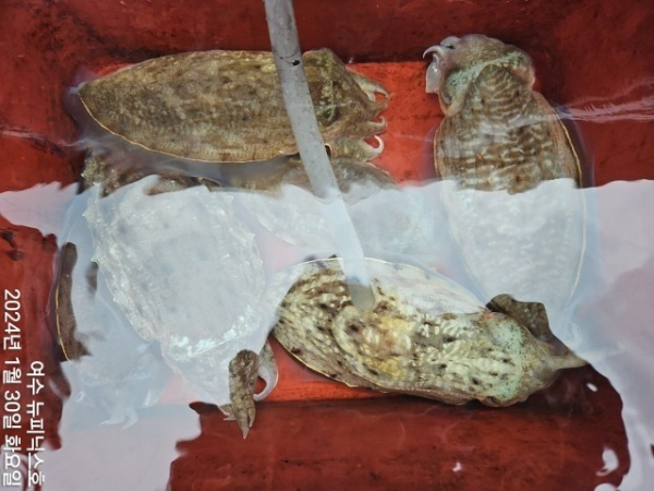 1월30일심갑 (14)-tile.jpg