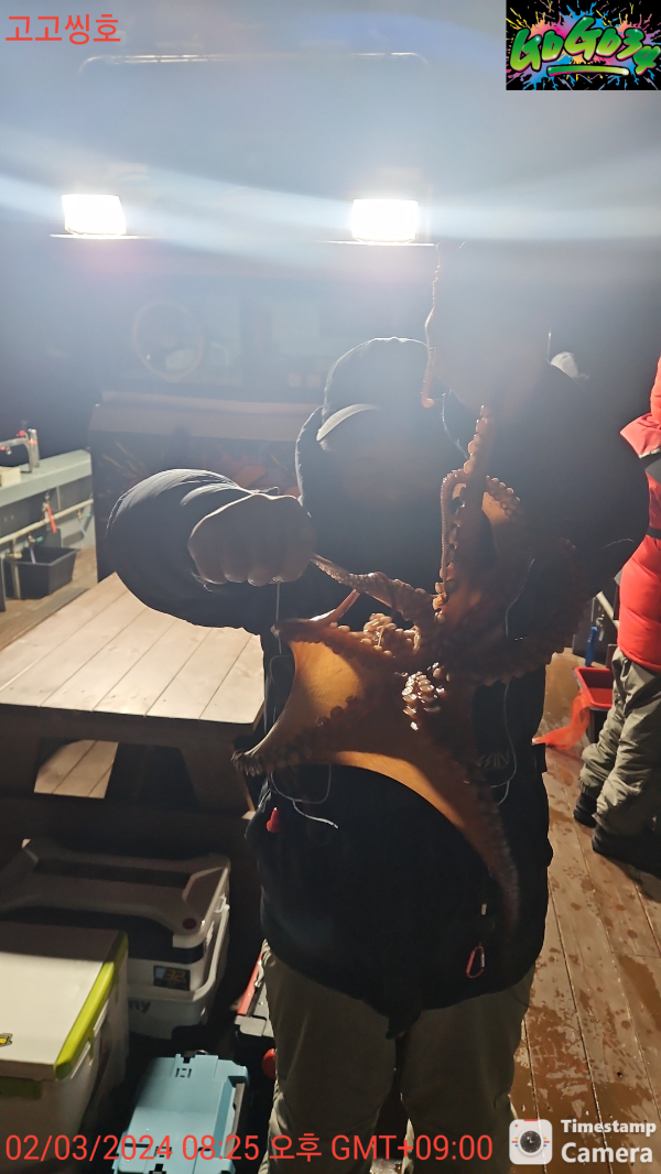 02_03_2024_08_25_23 오후_고고씽호.jpg