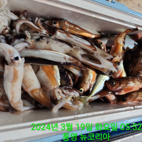 카카오스토리_2024_03_24 10_44_22 (1).jpg